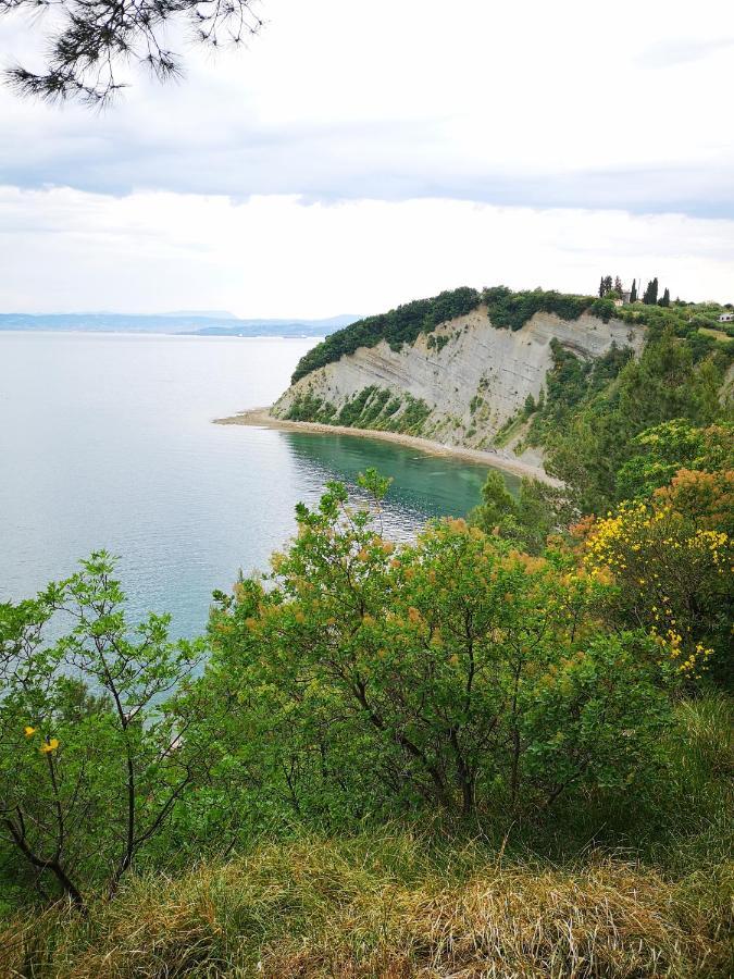 Apartments Zimerman Portorož Kültér fotó